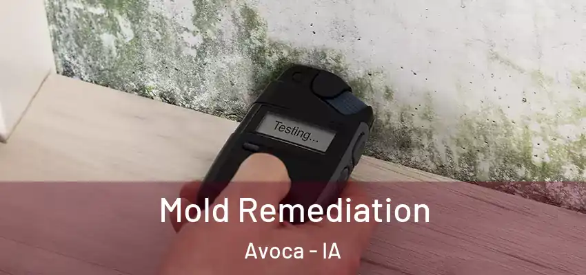 Mold Remediation Avoca - IA