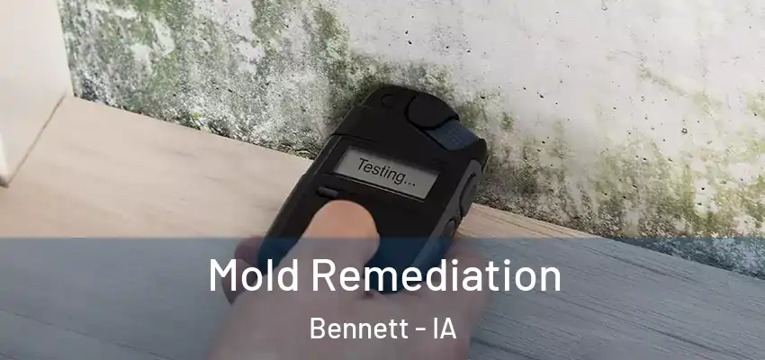  Mold Remediation Bennett - IA