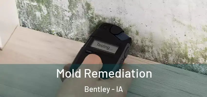  Mold Remediation Bentley - IA