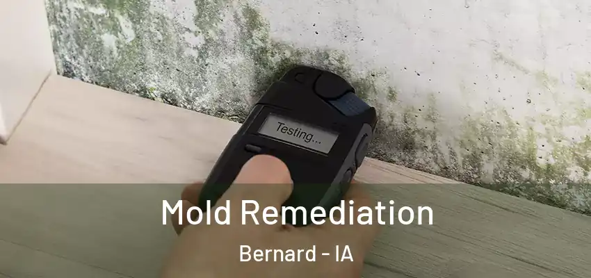 Mold Remediation Bernard - IA