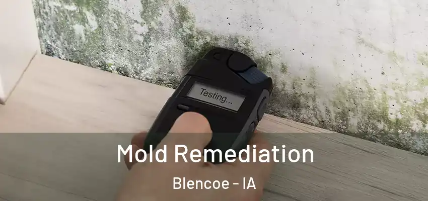Mold Remediation Blencoe - IA