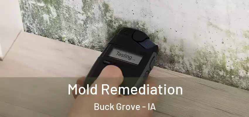  Mold Remediation Buck Grove - IA