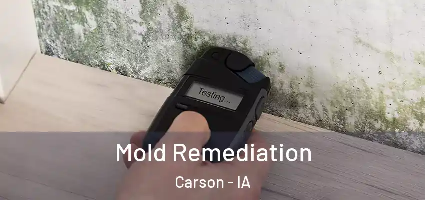  Mold Remediation Carson - IA