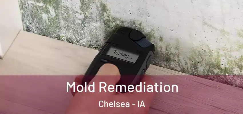  Mold Remediation Chelsea - IA