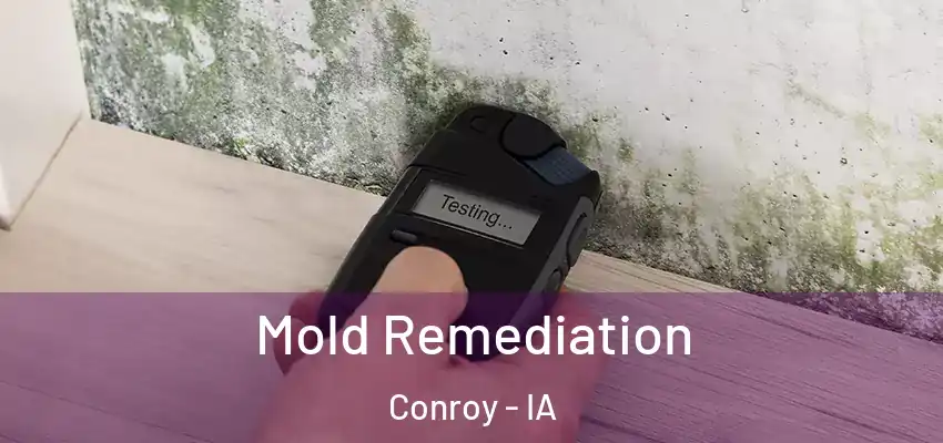  Mold Remediation Conroy - IA