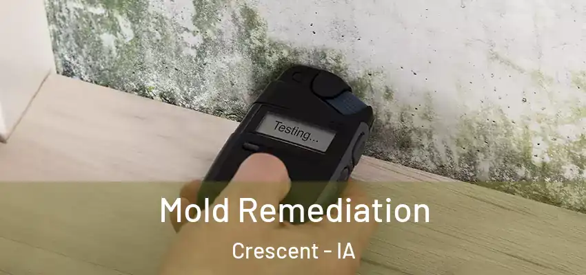 Mold Remediation Crescent - IA