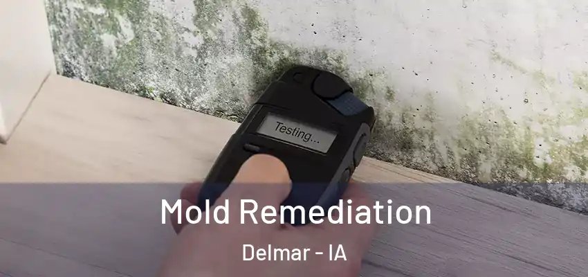 Mold Remediation Delmar - IA