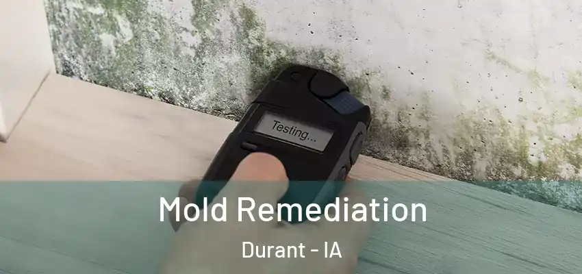 Mold Remediation Durant - IA
