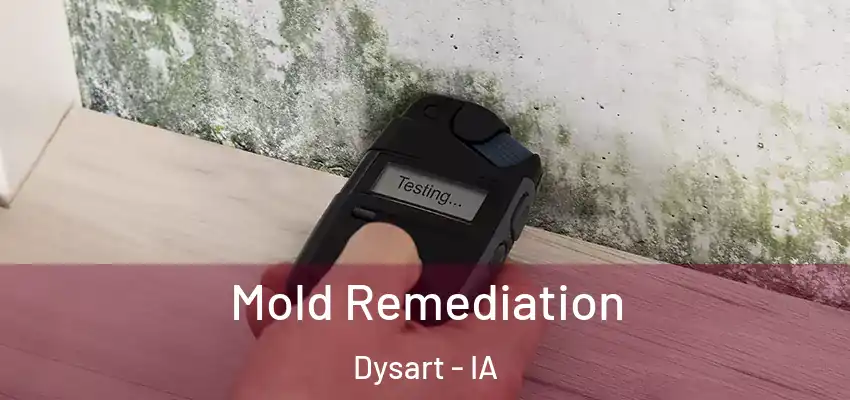  Mold Remediation Dysart - IA
