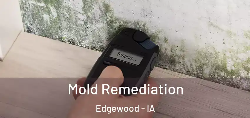 Mold Remediation Edgewood - IA