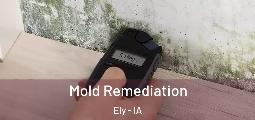 Mold Remediation Ely - IA