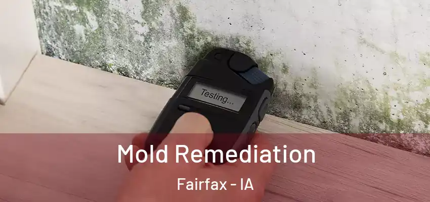  Mold Remediation Fairfax - IA