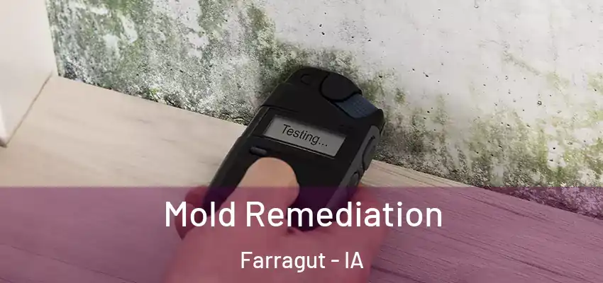  Mold Remediation Farragut - IA
