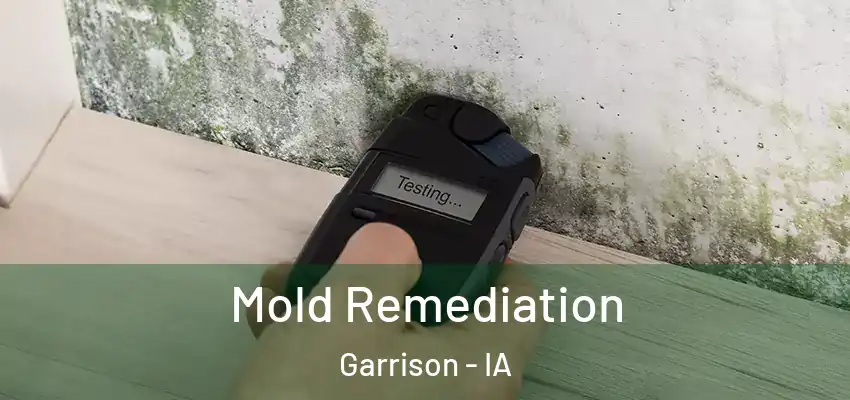  Mold Remediation Garrison - IA