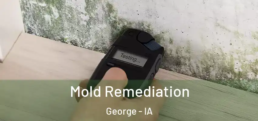 Mold Remediation George - IA