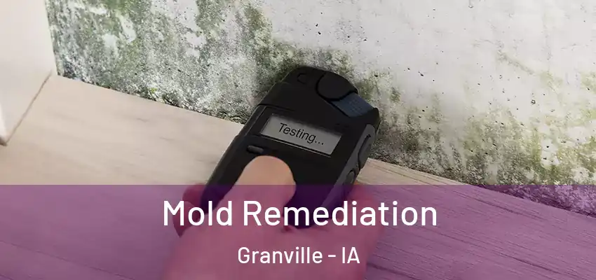  Mold Remediation Granville - IA