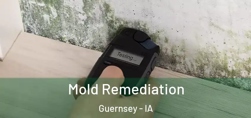  Mold Remediation Guernsey - IA