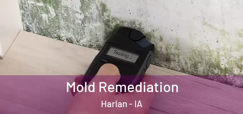 Mold Remediation Harlan - IA