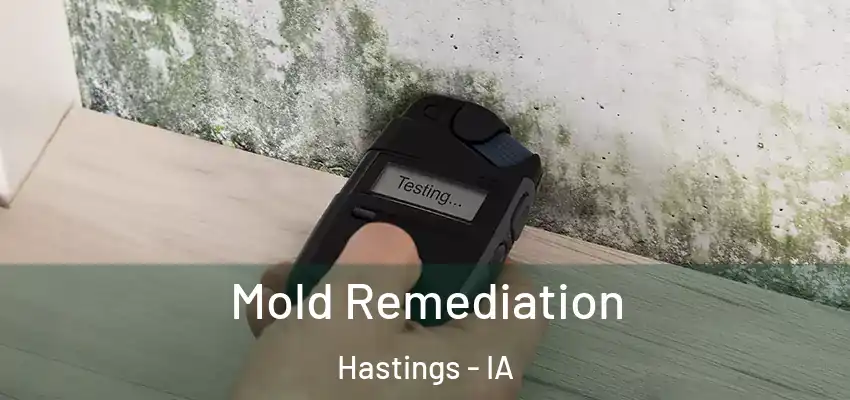 Mold Remediation Hastings - IA