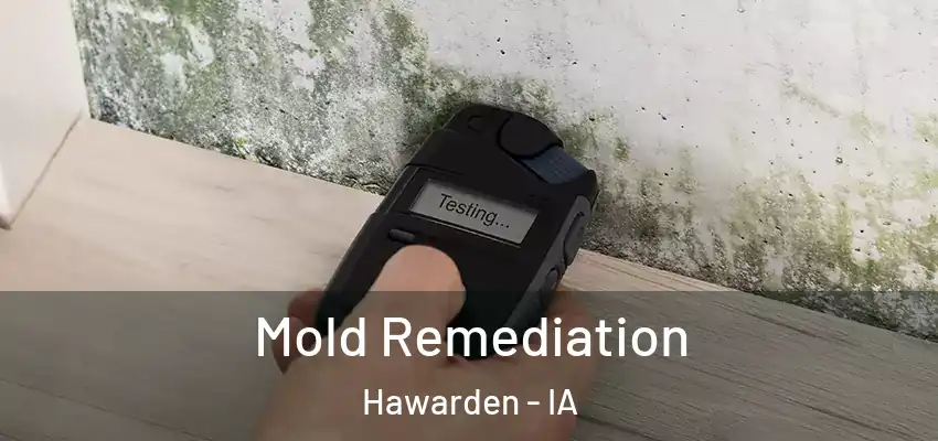 Mold Remediation Hawarden - IA