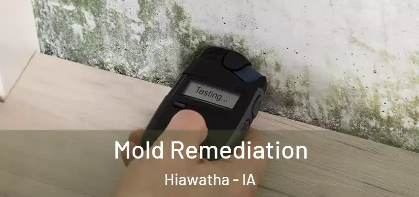  Mold Remediation Hiawatha - IA