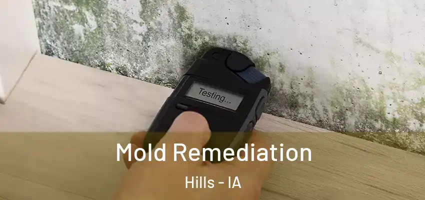  Mold Remediation Hills - IA
