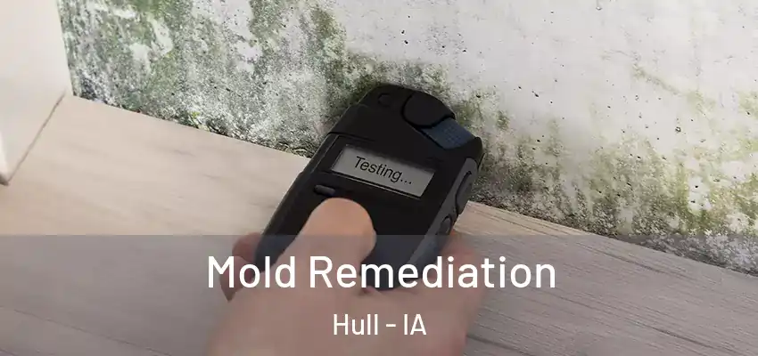  Mold Remediation Hull - IA