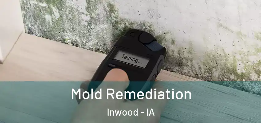  Mold Remediation Inwood - IA