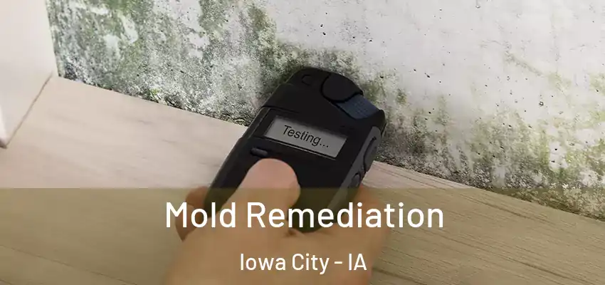 Mold Remediation Iowa City - IA