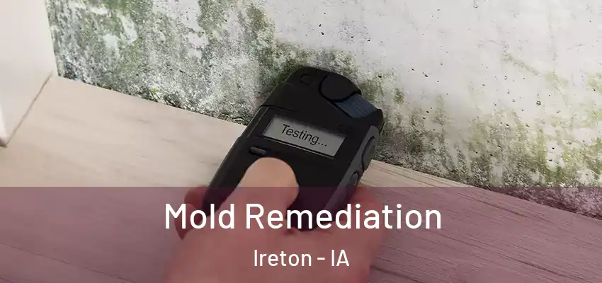  Mold Remediation Ireton - IA