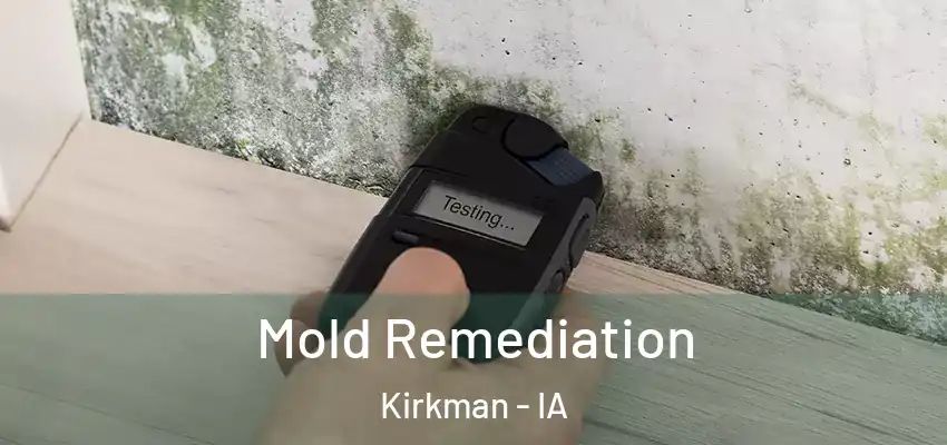 Mold Remediation Kirkman - IA