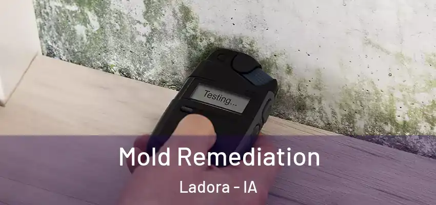  Mold Remediation Ladora - IA