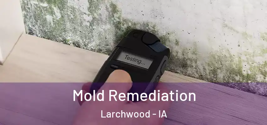  Mold Remediation Larchwood - IA