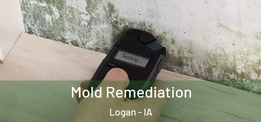 Mold Remediation Logan - IA