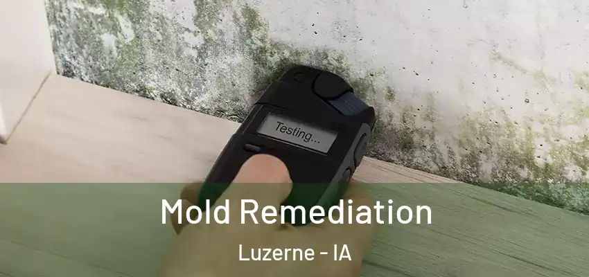  Mold Remediation Luzerne - IA