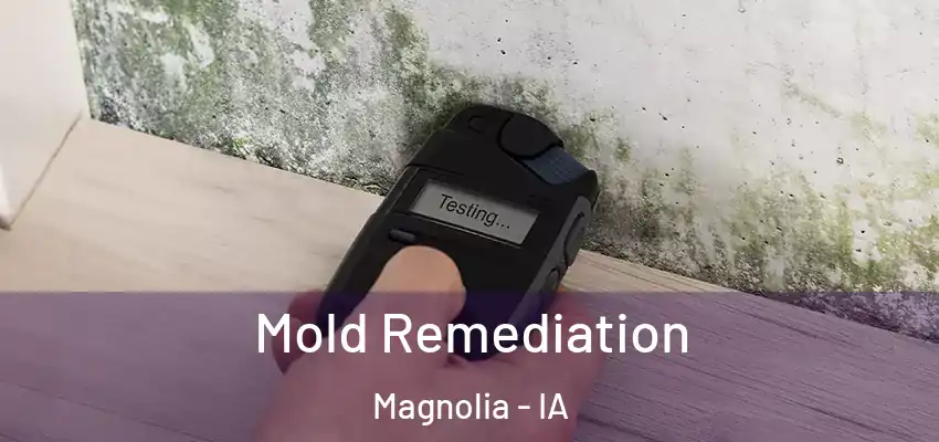  Mold Remediation Magnolia - IA