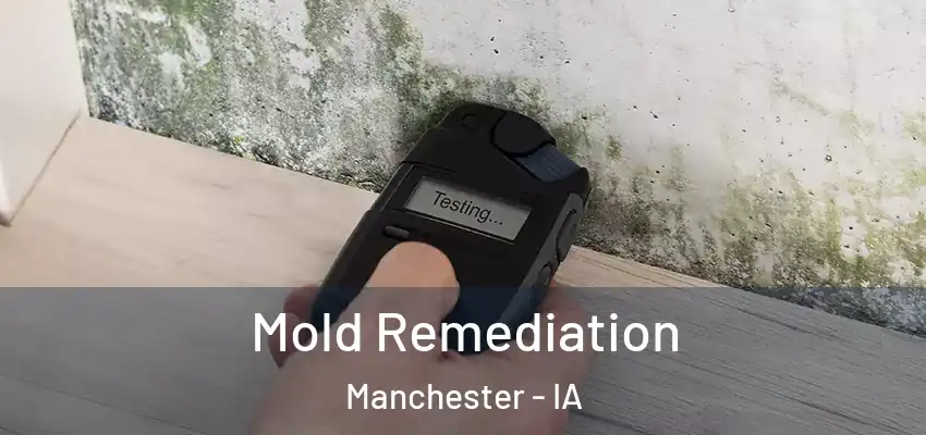 Mold Remediation Manchester - IA