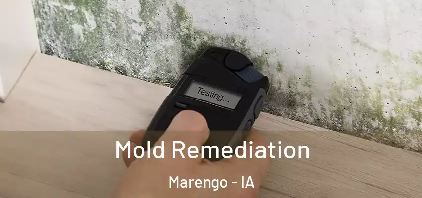 Mold Remediation Marengo - IA