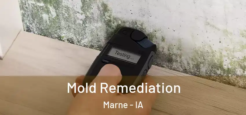  Mold Remediation Marne - IA