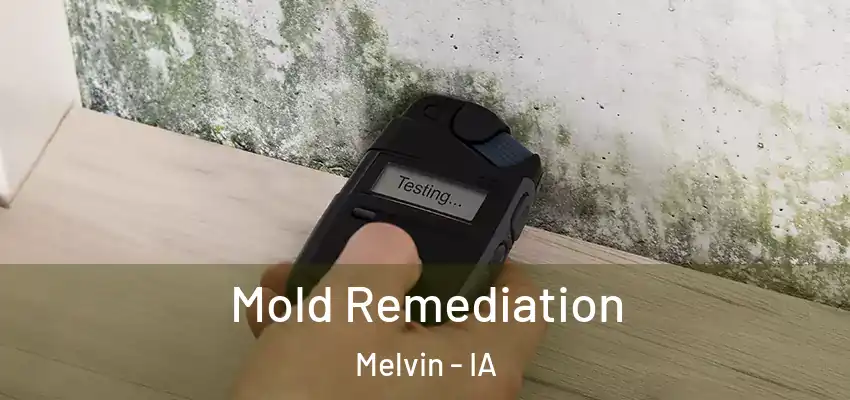 Mold Remediation Melvin - IA