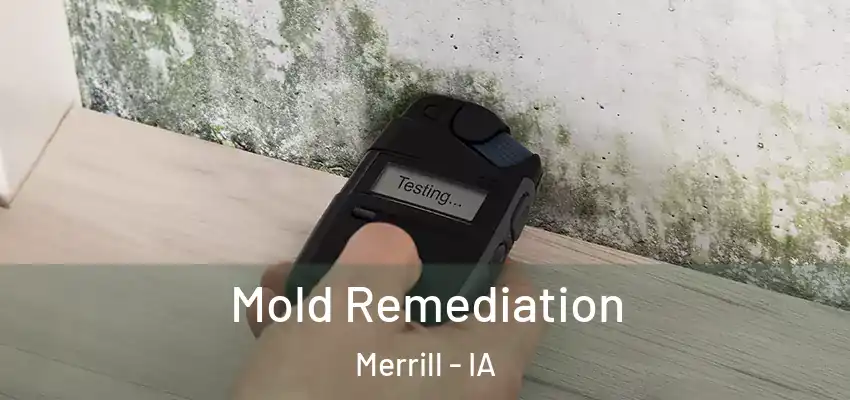 Mold Remediation Merrill - IA
