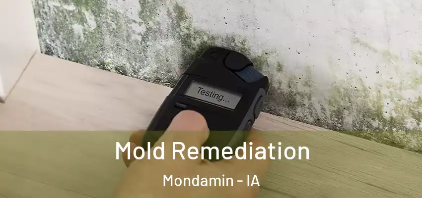  Mold Remediation Mondamin - IA