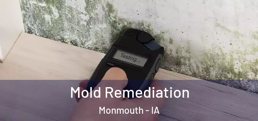  Mold Remediation Monmouth - IA