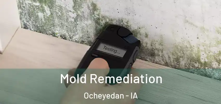  Mold Remediation Ocheyedan - IA