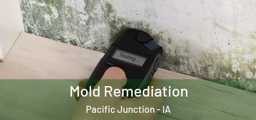  Mold Remediation Pacific Junction - IA