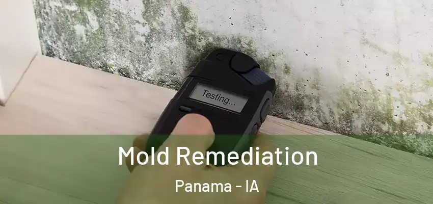  Mold Remediation Panama - IA