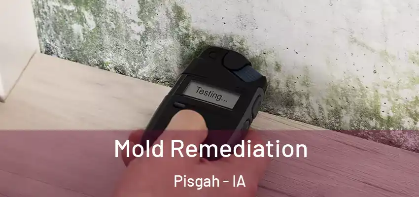 Mold Remediation Pisgah - IA