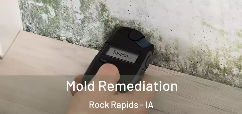 Mold Remediation Rock Rapids - IA
