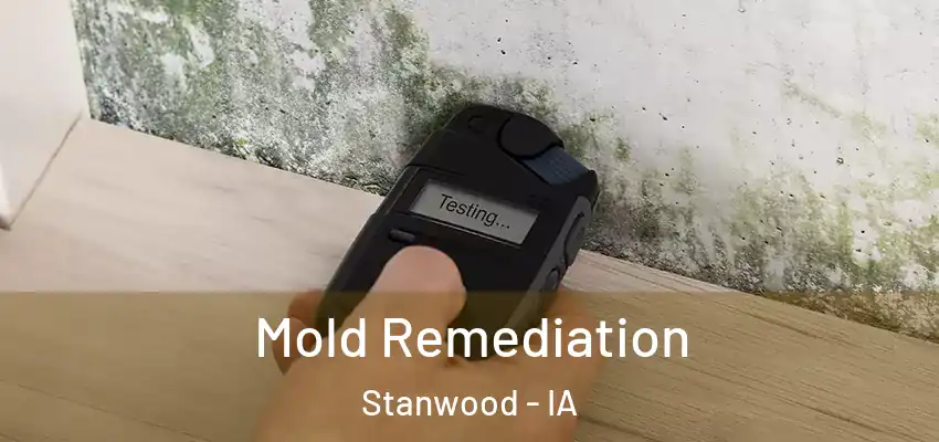  Mold Remediation Stanwood - IA