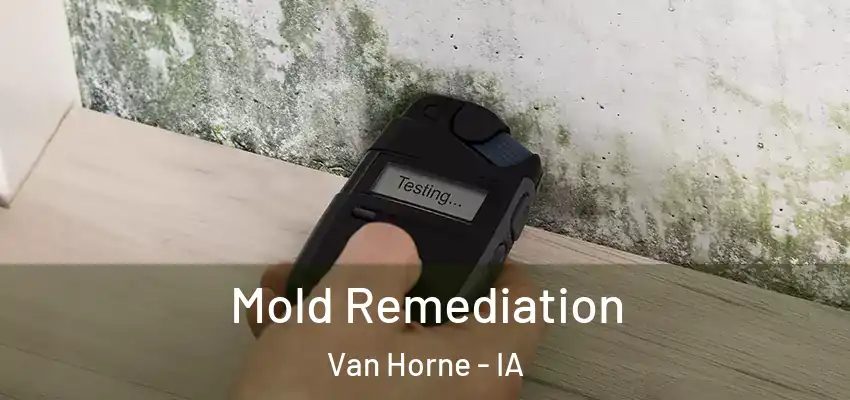  Mold Remediation Van Horne - IA